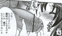 Page 13 of March Campaign