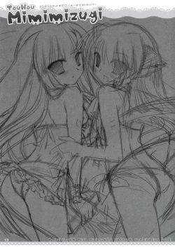 Page 11 of Touhou Mimimizugi