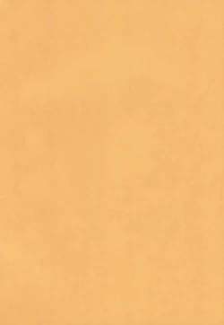 Page 3 of Ochinko Sensei