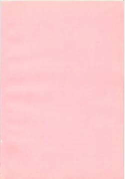 Page 6 of Kiken na omajinai