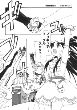 Page 23 of Precure Machine