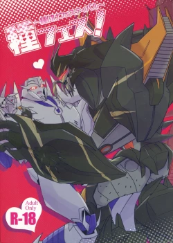 Page 1 of Tane fesu!