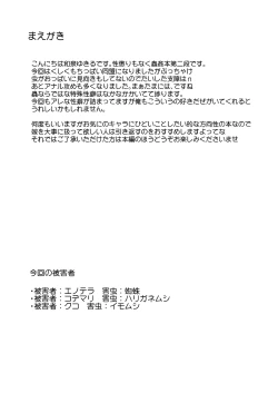 Page 3 of Gaichuu Higai Houkokusho File 2