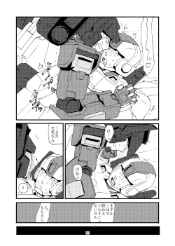 Page 12 of max X skyfire