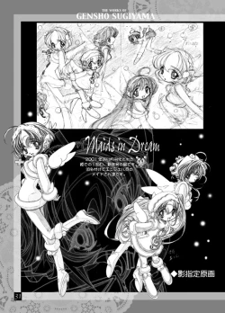 Page 30 of THE WORKS OF GENSHO SUGIYAMA 2001 SUMMER