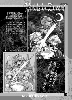 Page 33 of THE WORKS OF GENSHO SUGIYAMA 2001 SUMMER