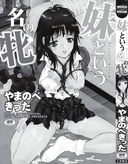 Page 3 of Imouto to Iu Na no Mesu | Sister Bitch