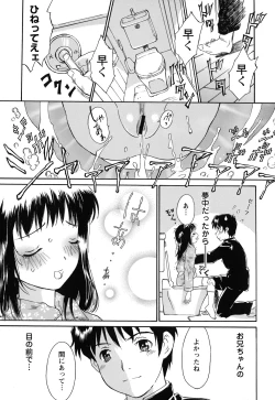 Page 66 of Imouto to Iu Na no Mesu | Sister Bitch