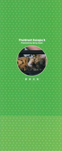 Page 3 of The Great Escape 5