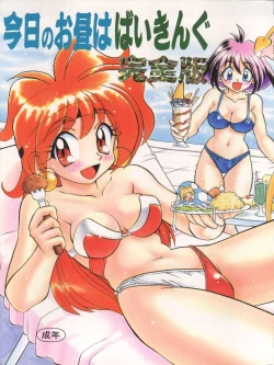 Page 2 of BTB-21 Kyou no Ohiru wa Viking Kanzenban