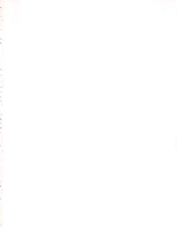 Page 2 of Latinum Choja!