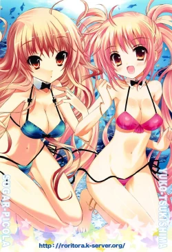 Page 26 of Picomani:06