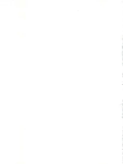 Page 31 of Kuroha Dynamic Junbigou 2!