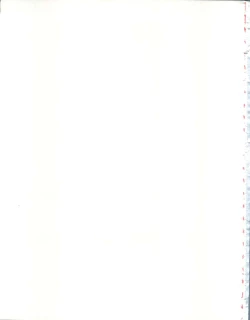 Page 31 of Cha Cha Cha no Cha