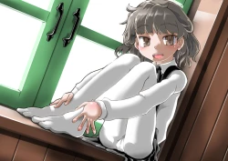 Page 3 of MOCKING BIRD