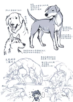 Page 10 of Aru Inu no Baai | 某只狗的视角