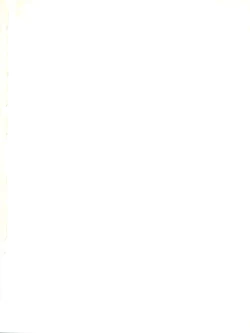 Page 2 of MEDAROMODE II