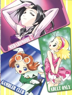 Page 36 of MEDAROMODE II