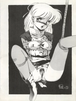 Page 11 of FORT ALPS