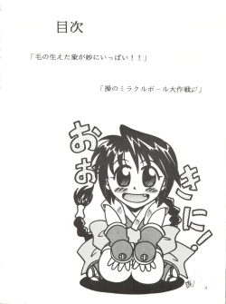 Page 4 of MISAO I+II