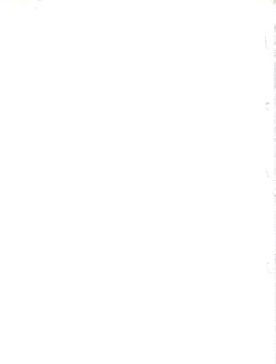 Page 31 of Mizugi de Punicure