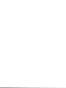 Page 2 of METEOR STREAM