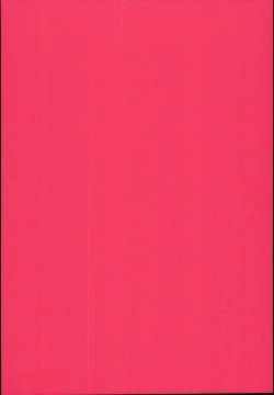 Page 4 of Ryuujou-chan ga Yattekita.