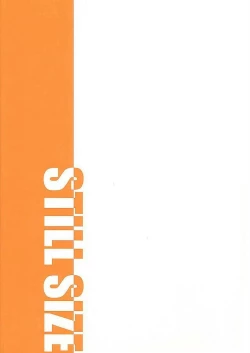 Page 22 of STILL SIZE