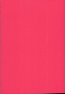 Page 22 of Ryuujou-chan ga Yattekita.