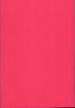 Page 4 of Ryuujou-chan ga Yattekita.