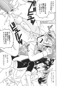 Page 24 of Shikima Sensei Negi Nuki! 9