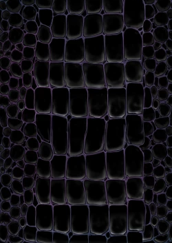 Page 73 of Q.E:R.M - Queen Elizabeth Royal Maintenance