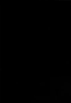 Page 3 of Inmon Megumin - Crotch Tattoo Megumin!