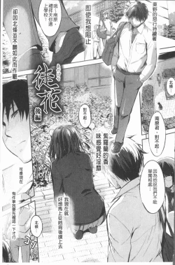 Page 146 of Shirinchu