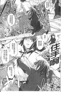 Page 147 of Shirinchu