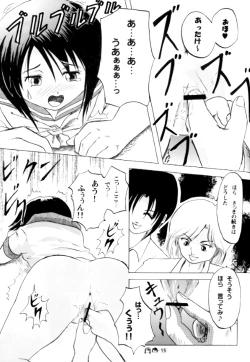 Page 14 of Sachina no Koukou Nikki 2