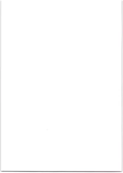 Page 11 of Heisei Saigo no Hanseibun