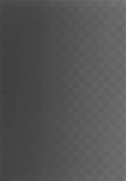 Page 3 of Yagamichi no Shugojuu 02