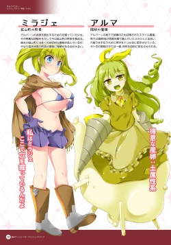 Page 11 of Naedoko Dungeon Chronicle Official Design Works