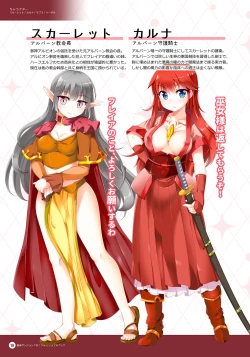 Page 15 of Naedoko Dungeon Chronicle Official Design Works