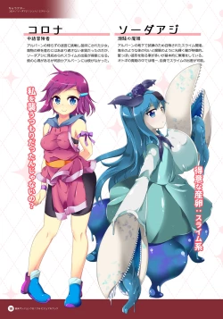 Page 9 of Naedoko Dungeon Chronicle Official Design Works