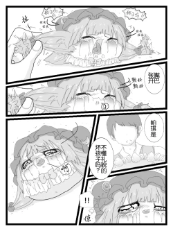 Page 14 of 帕琪和大哥哥（半生不熟汉化组）