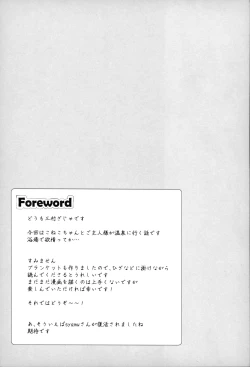 Page 3 of Goshujin-sama to Koneko no Midareta Vacation