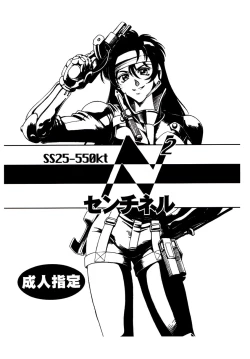 Page 26 of N2 SENTINEL SS25-550kt 1.50A