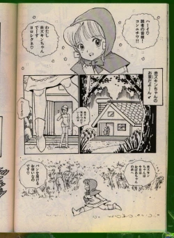 Page 21 of Bishoujo Honpo