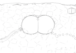 Page 21 of Demonic Onsen Paizuri