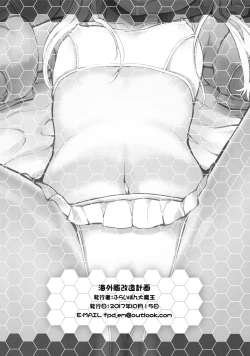 Page 17 of Kaigaikan Kaizou Keikaku