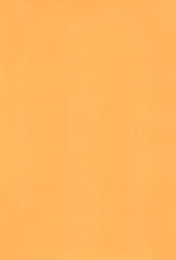 Page 4 of Yoidore Night Wolf