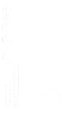 Page 2 of Tsugu Zukan SP Nishi-Ogikubo Renzoku Jian File