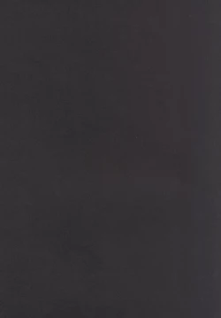 Page 20 of Hoshimori Seitokaichou no Shuuren Seika Nisshi